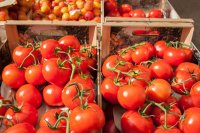 Tomatoes cost more this autumn in most EU countries with data
