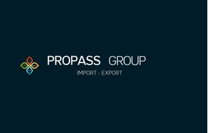 Propass Group E.E.