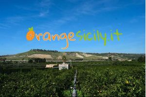 Orangesicily Orangesicily