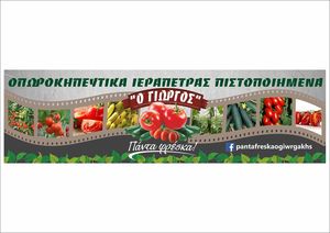 Πάντα Φρέσκα Ο Γιωργάκης Πάντα Φρέσκα Ο Γιωργάκης