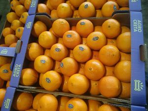 Πορτοκάλια Κρήτης