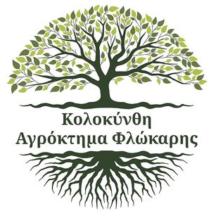 Αγρόκτημα Φλώκαρης Κολοκύνθη Αγρόκτημα Φλώκαρης Κολοκύνθη