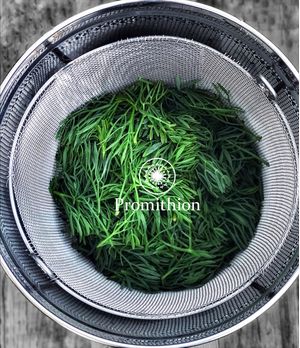 Promithion Promithion