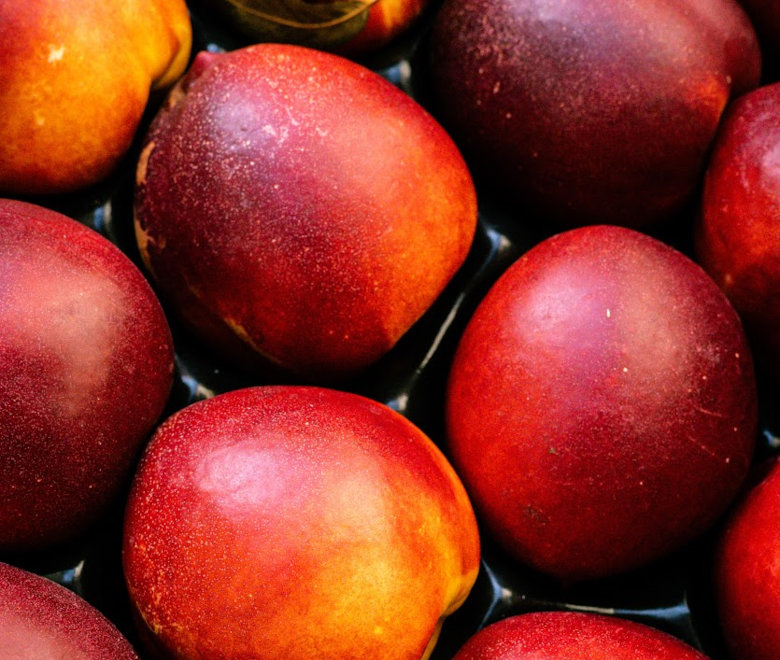 Nectarines (Early Bomba, Big Bang) Price per Kilo kali Wikifarmer
