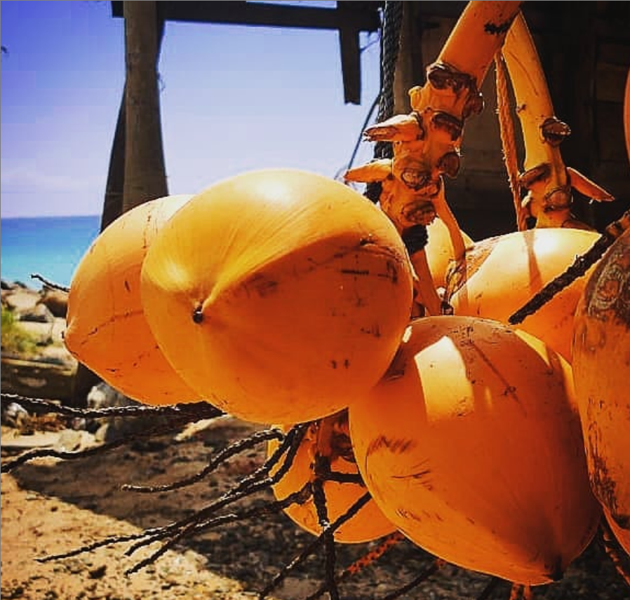 Natural King Coconut Water, 350ml bottle, 240ml can and bulk, MOQ 1150