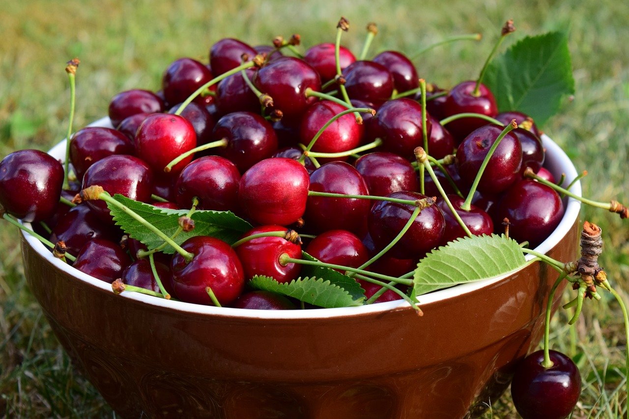 Cherries of Edessa Price per Kilo edessa Wikifarmer