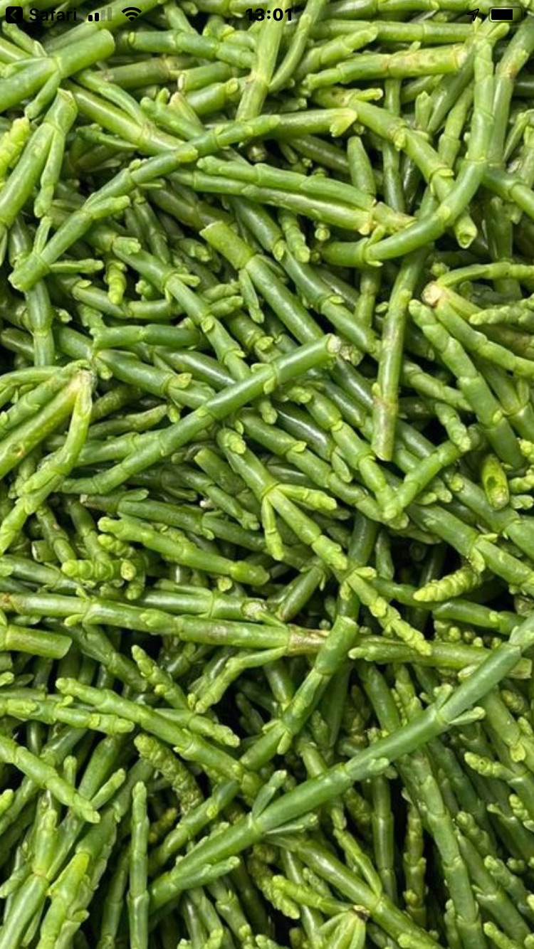 Organic Sea Asparagus 1Kg La Unión Wikifarmer
