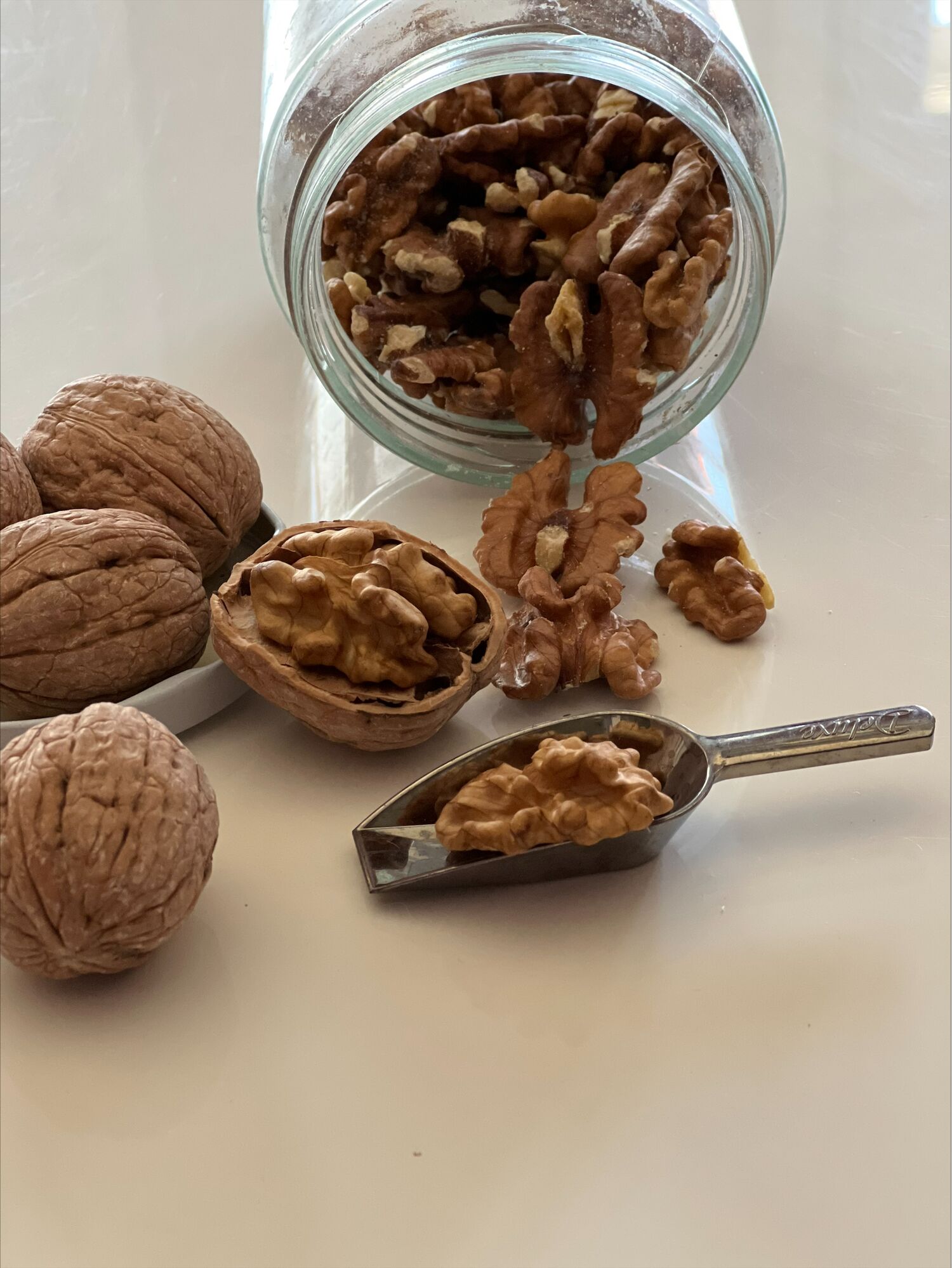 Chandler Walnuts in shell Katerini Wikifarmer