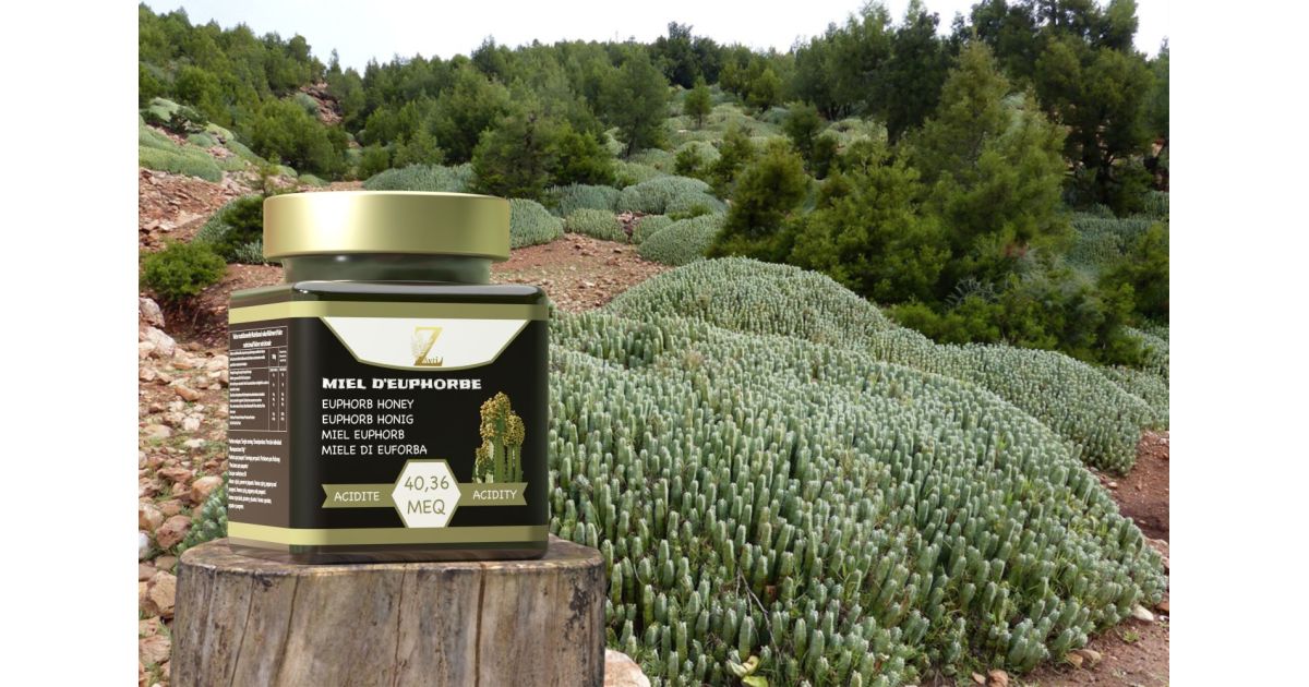 100% pure & Natural Euphorbia Honey . Real Premium Raw Honey (Daghmous ...