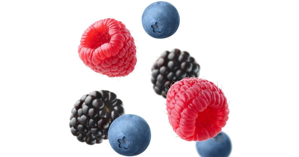 Berries in Bulk Wholesale Prices Wikifarmer