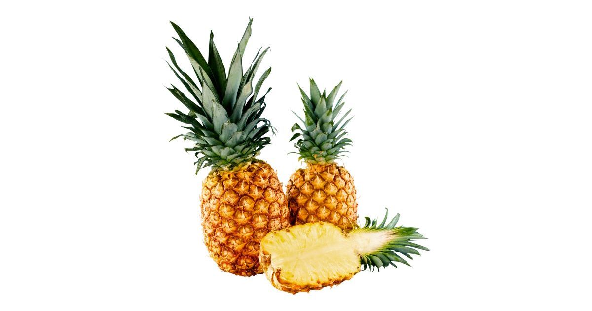 Pineapples in Bulk Wholesale Prices Wikifarmer Market