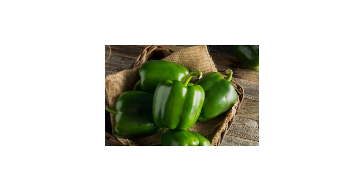 Green bell Peppers Price per Kilo FILIATRA Wikifarmer