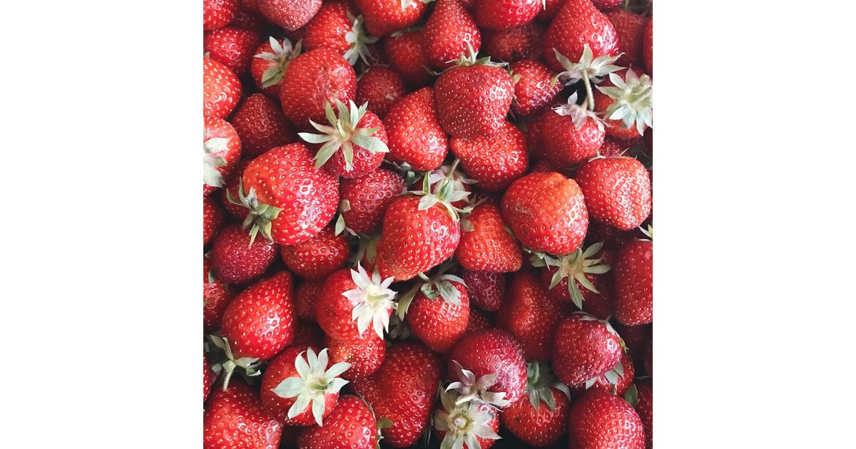 Strawberries Blackberries Figs Buy Wholesale Berries and Figs