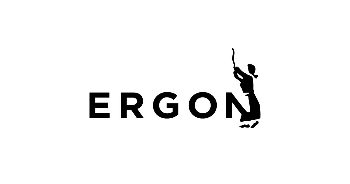 ergon go3
