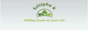 Esisipho k Esisipho k