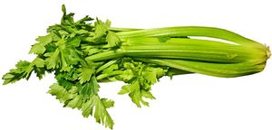  Organic Celery 1 bunch