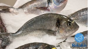 Greek Aquaculture Gilt-head (0,8-1 kg) "Sparus aurata" price per kilo