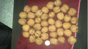 Walnuts in shell 2 kg