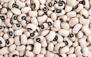 Black-eyed beans 10kg 