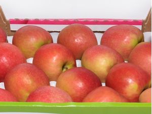 Greek pink lady apples bio 1kg