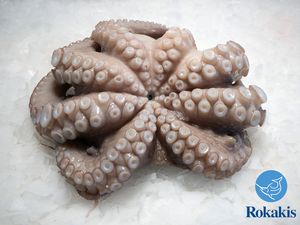 Greek Whole Octopus (2-3 kg) "Octopus vulgaris" price per kilo