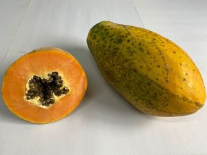 Papaya Sweet Sense