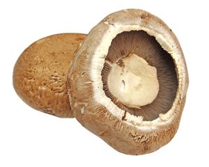  Portobello mushrooms 1kg