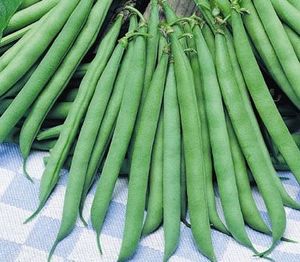 Green Beans 1kg