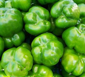 Greek green peppers bio 1kg