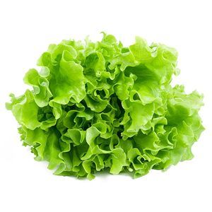 Lettuce Curly Organic 1kg