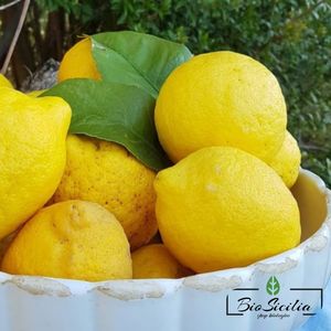 Primo Fiore lemon certified organic product