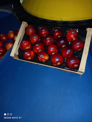 Red apples from 160gr to 280gr polished in a single row crate, quality A