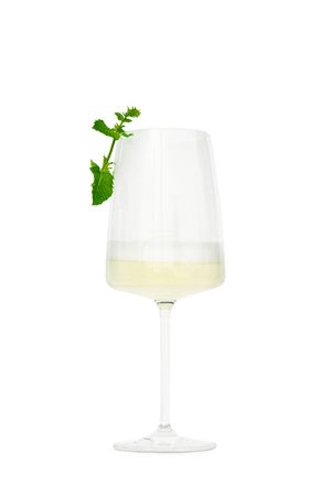 Rogante Fiori di Sambuco - Fruity Sparkling Wine 75CL, 11% Luminous Bottle