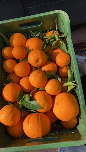 Merlin Oranges 1kg
