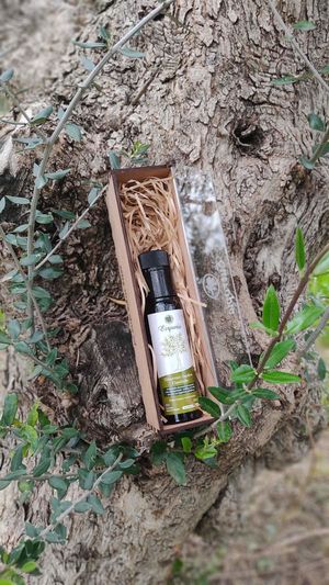 Collectible Packaging - Extra Virgin Olive Oil Eutropia