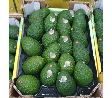 Avocado Hass (1kg) - In Punta di Forchetta