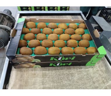 Kiwis in Bulk Wholesale Prices