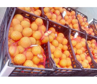 Wikifarmer Market Global Buy And Sell Agricultural Products Wikifarmer Market Global Buy And Sell Agricultural Products