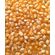 Quality yellow corn products in bulk quantities 
