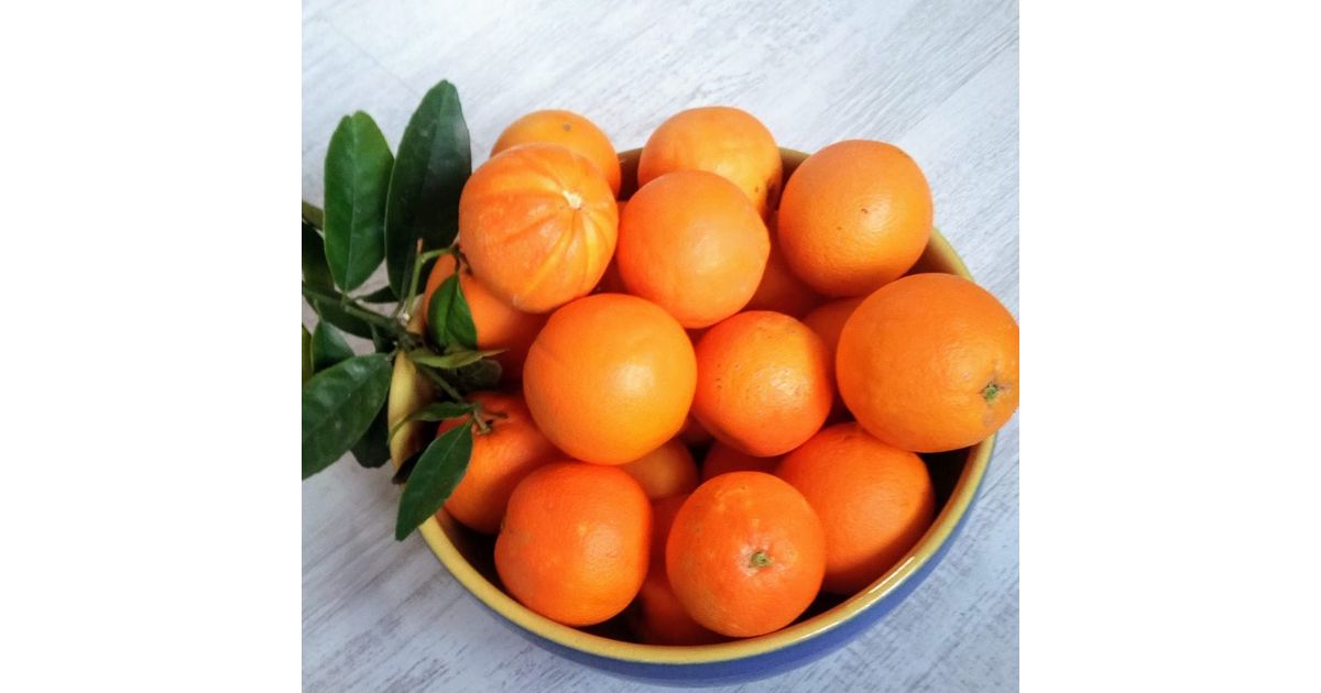 Naraja Navelina en cajas de 5