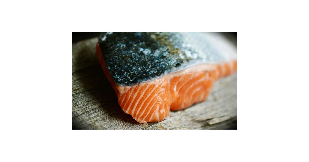 Salmón precio por kilo Madrid Wikifarmer