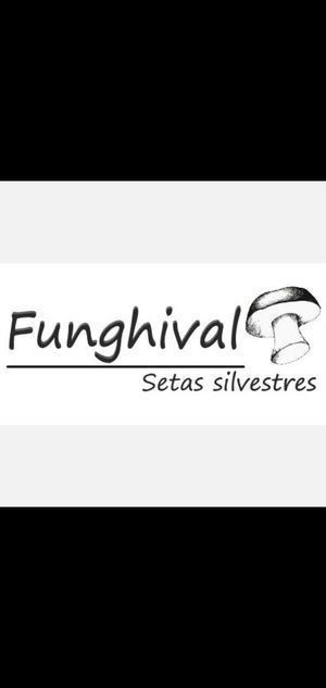 Funghival Funghival