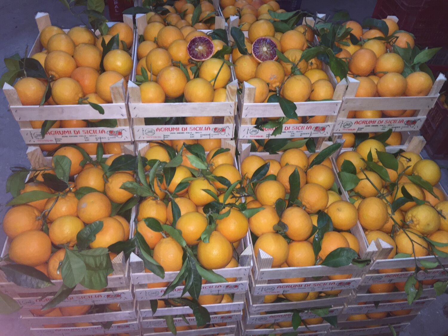 Caissette Oranges Tarocco Lempso semi-sanguines de Sicile 7kg (4,30Frs/kg) ''Non traités''(Disponibilité: Janvier à Février)