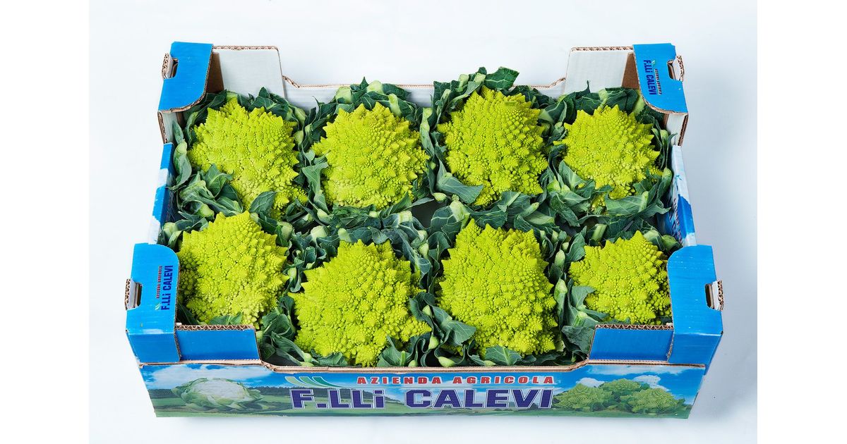 Chou Fleur Romanesco Ou Romain Viterbo Wikifarmer
