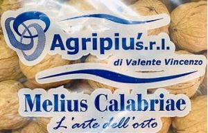 agripiusrl agripiusrl