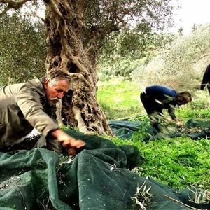 Στέλιος Αλεξάκης Στέλιος Αλεξάκης