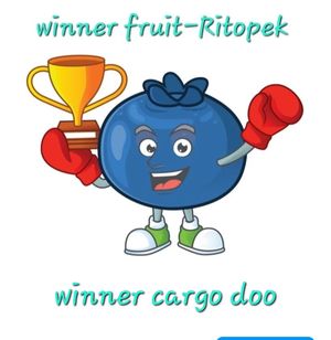 winner cargo ltd