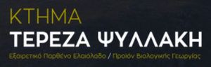 Τερέζα-Ιωάννα Ψυλλάκη Τερέζα-Ιωάννα Ψυλλάκη