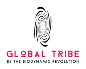 Global Tribe Global Tribe