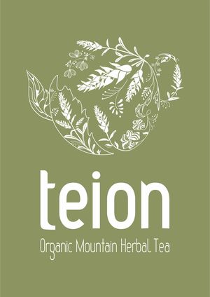 Teion Teion